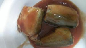 Canned Mackerel in Tomato Sauce