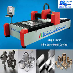 Specialized Laser Metal Cutting Machine-Holy Laser